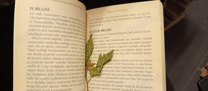 Sun Tzu'dan Satış Stratejileri - Satış Savaşını Kazanmak İçin Sun Tzu Bilgeliği