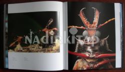 FOTOĞRAFLARLA YABAN HAYATI