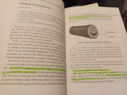 Alkali Diyeti - Bugüne Kadar Neden Olmadı Ve Bundan Sonra Nasıl Olacak Sorularının Cevabı