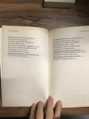 Yerçekimli Karanfil