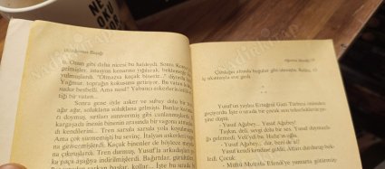 Ağustos Başağı