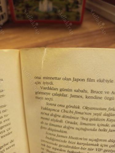 Sağ Kalan Ruh / Bir II. Dünya Savaşı Pilotunun Reenkarnasyonu