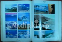 LIAISON INTERNATIONAL STOCK