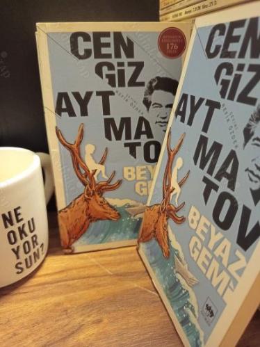 Beyaz Gemi