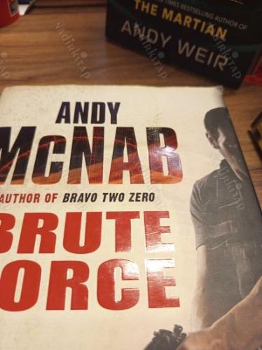 Brute Force (Nick Stone Thriller 11)