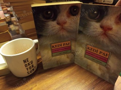 Kedi Paf