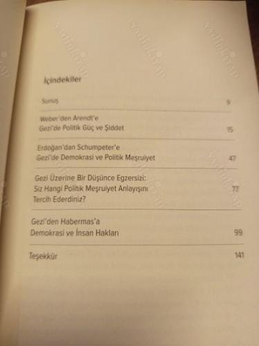 Gezi Ruhu ve Politik Teori