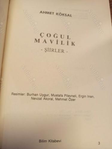 Çoğul Mavilik - Şiirler