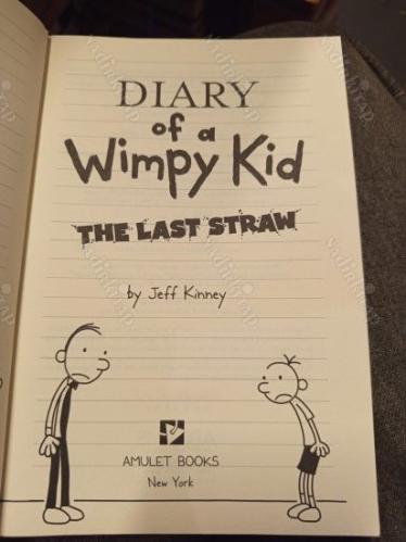 Diary of a Wimpy Kid - The Last Straw