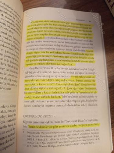 Ebeveynliği Hissetmek - Doğuştan Gelen Bilgeliğinizi Kucaklayın