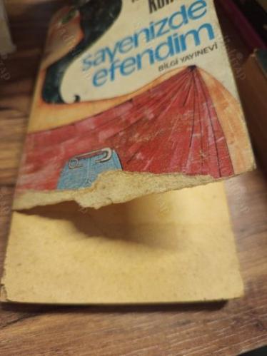 Sayenizde Efendim
