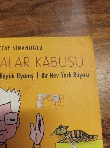 Dayatmalar Kabusu / Büyük Uyanış / Bir Nev-York Rüyası