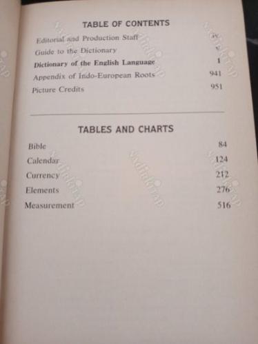 The American Heritage Concise Dictionary (Ciltli)