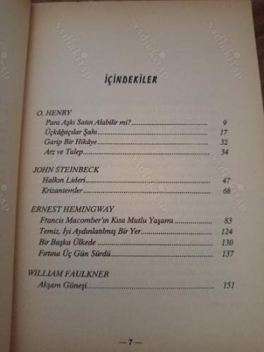 Dünyanın En Güzel Hikayeleri - Amerikan Gerçekçileri