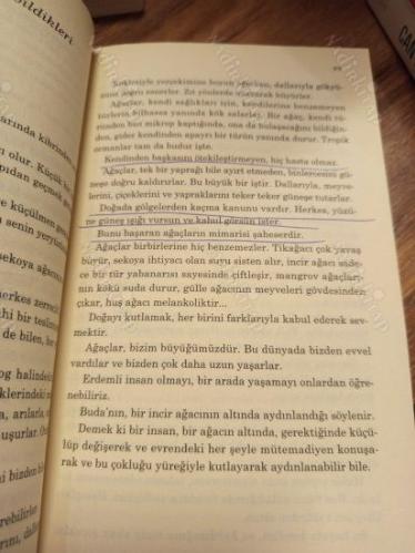 Kelebeğin Hayat Sırları