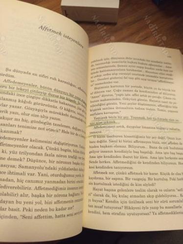 Kelebeğin Hayat Sırları