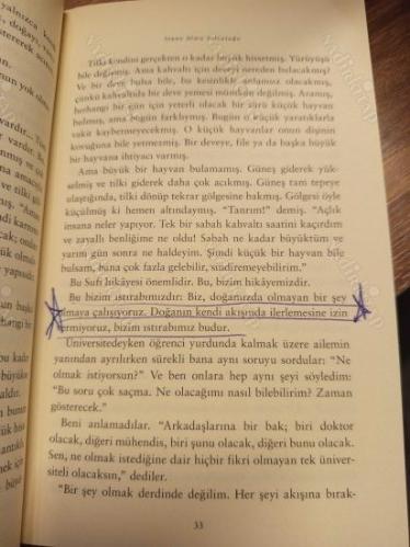 İnsan Olma Yolculuğu - Sıradan Yaşamda Gerçek Mutluluğu Bulmak Mümkün mü?