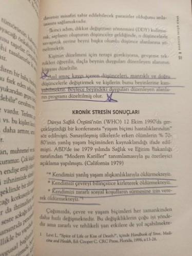 Kendinizle Barışık Olmak - Duyguların Eğitimi