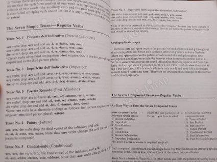501 Italian Verbs - Fully Conjugated in All the Tenses in a New Easy-To-Learn Format Alphabetically Arranged (Barrons 501 Verbs Series)