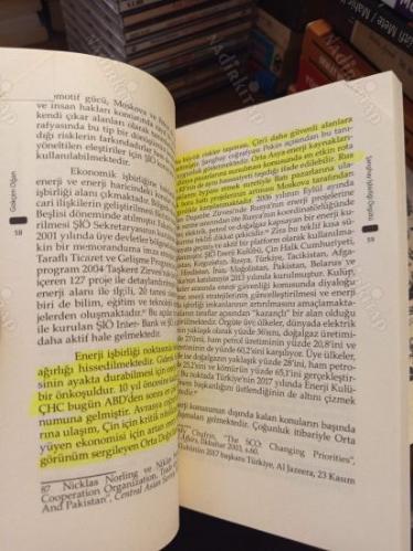 Şanghay İşbirliği Örgütü - Türkiye için Bir Seçenek mi? Zorunluluk mu?