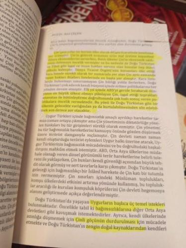 Türkiye'de Türkçülük