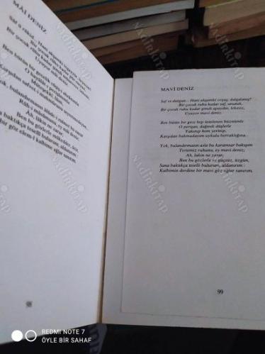 Kırık Saz - Seçilmiş Şiirler