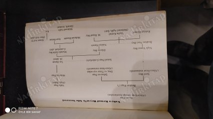 Yahya Kemal Hayatı 1