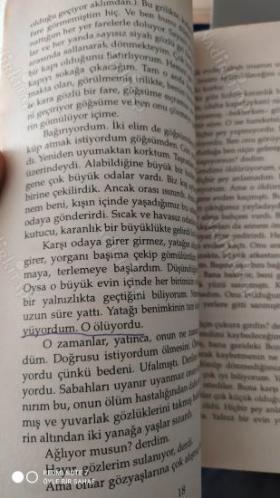 Eski Bahçe - Eski Sevgi