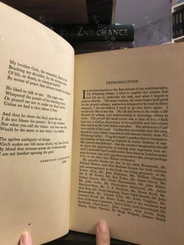 I Am My Brother - Autobiography II