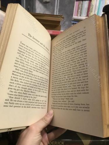 The Whole Voyald and Other Stories (Voyald'ın Bütünü ve Diğer Hikayeler)