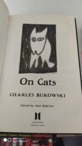 On Cats