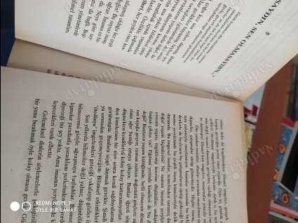 Tanrılar Neyi Yarattı