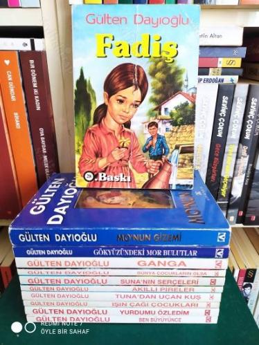Gülten Dayıoğlu Lotu 10 Kitap Takım (Mo'nun Gizemi, Gökyüzünde Mor Bulutlar, Ganga, Dünya Çocukların Olsa, Suna'nın Serçeleri, Akıllı Pireler, vs...)
