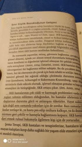 Sınır Kişilik Bozukluğu için Şema Terapi
