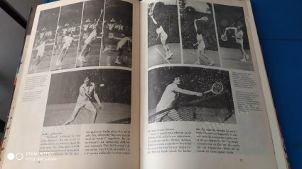 Tenis