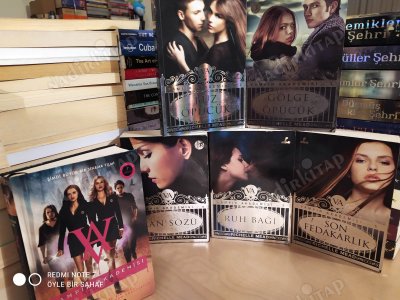 Vampir Akademisi (6 Kitap Takım)