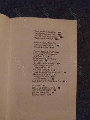 Pavese / Bütün Şiirlerinden Seçmeler (Yeryüzü Şairleri 13)