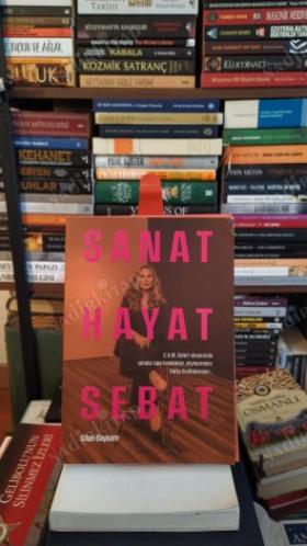 Sanat Hayat Sebat - C.A.M Galeri ekseninde sanata dair tanıklıklar, söyleşmeler hatta fısıldaşmalar