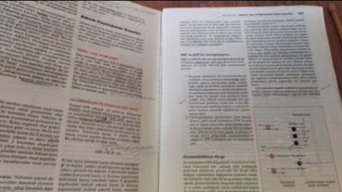 Cecil Essentials Of Medicine Türkçesi