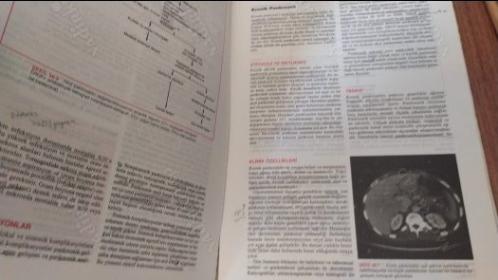Cecil Essentials Of Medicine Türkçesi