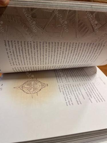 VİNGT MİLLE LİEUES SOUS LES MERS / TEXTE İNTEGRAL / DENİZLER ALTIN YİRMİ BİN FERSAH TAM METİN FRANSIZCA / CİLTLİ, ŞÖMİZLİ / İLLUSTRE PAR DİDİER GRAFFE