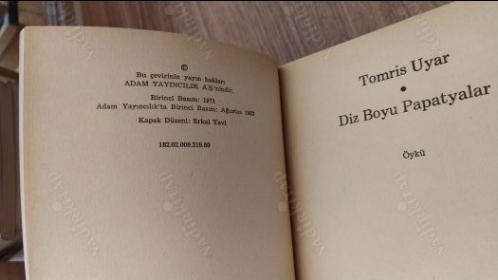 Dizboyu Papatyalar (Adam Yayınları 1. Baskı)
