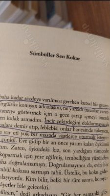 Ölü Zaman Gezginleri (İthaflı İmzalı)