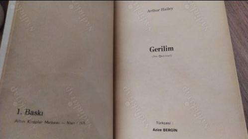 Gerilim (The Overload)