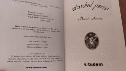İstanbul Perisi