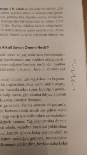 Alkali Diyeti - Bugüne Kadar Neden Olmadı Ve Bundan Sonra Nasıl Olacak Sorularının Cevabı