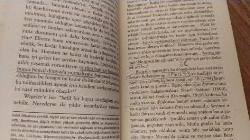 Beethoven-Beethoven'ın Hayatı Sessizliğin Sesi