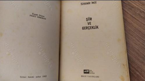 Şiir ve Gerçeklik (1. BASKI)