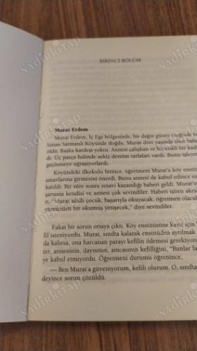 Ülkü Erleri
