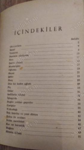 Bir Ömür Böyle Geçti